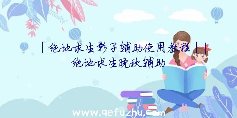 「绝地求生影子辅助使用教程」|绝地求生晚秋辅助